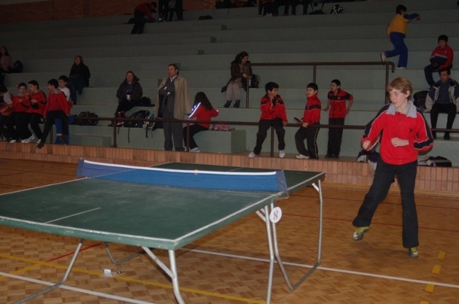 Einfache Tischtennistische für Anfänger können sich als falsche Sparmaßnahme erweisen, da man sie ersetzen möchte, sobald man sich verbessert.